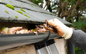 gutter cleaning Fishbourne