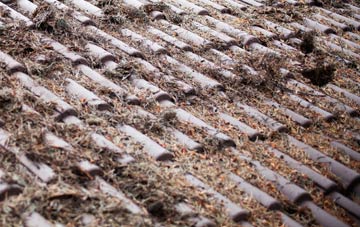 Fishbourne roof cleaning companies